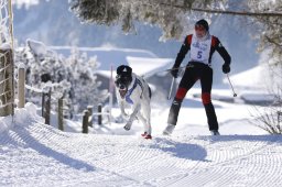Lenk 2013